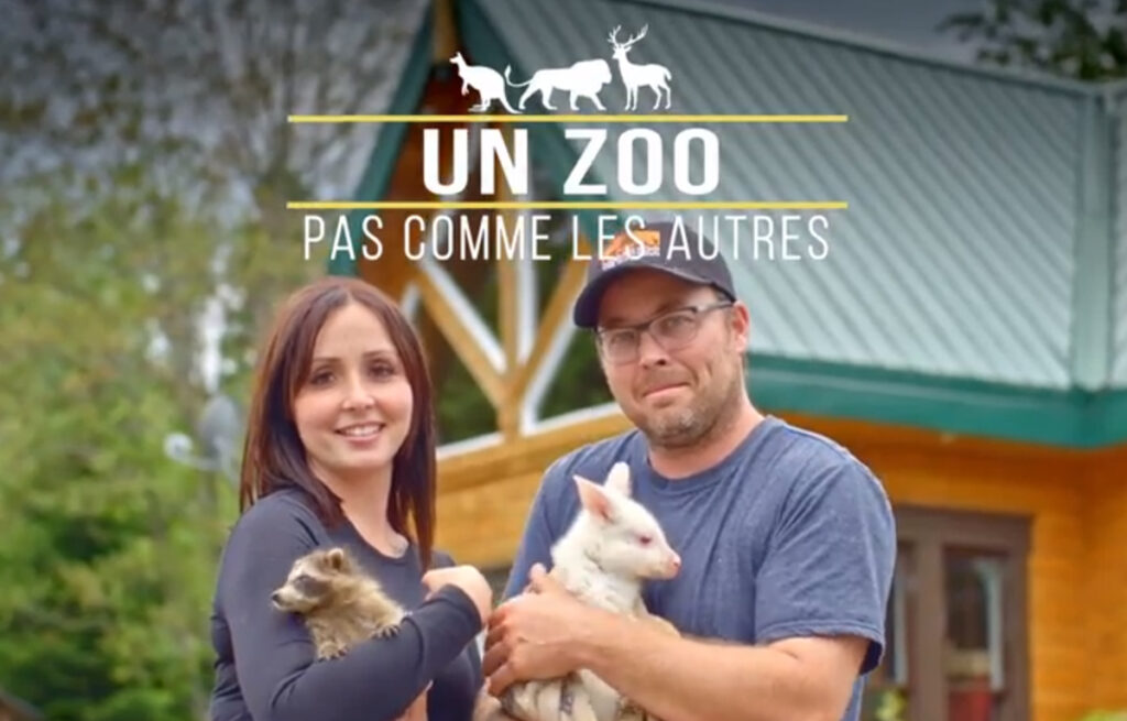 Miller Zoo